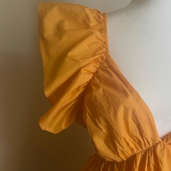 SHOWPO Raiza Ruffle Sleeve Tie Back Plunge Mini Dress - Picture 10 of 13